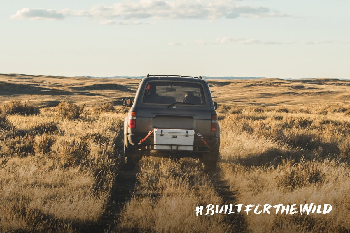 Built For The Wild