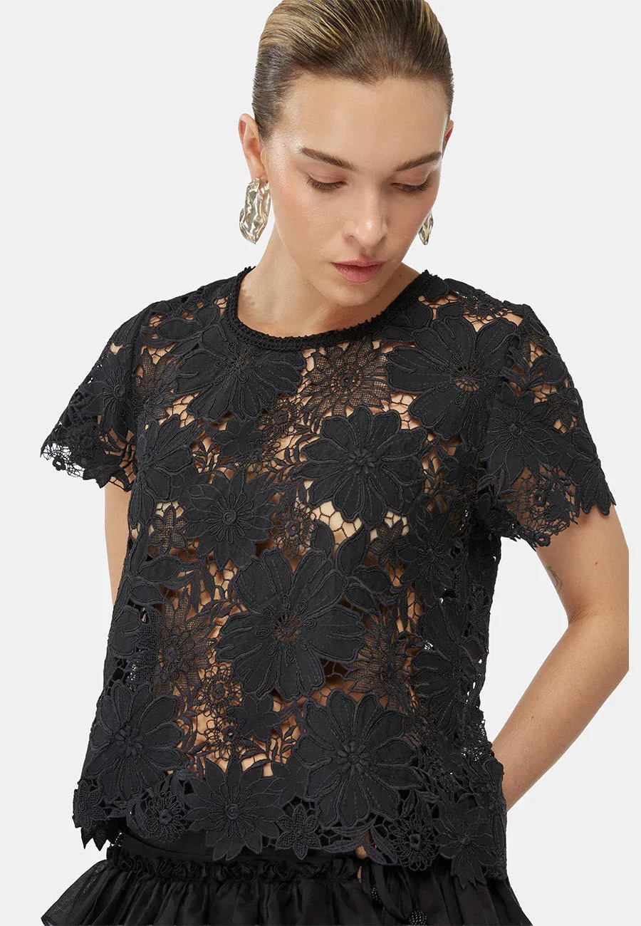 Coqui Top Lace