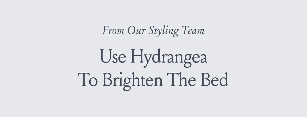 From Our Styling Team Use Hydrangea To Brighten The Bed 