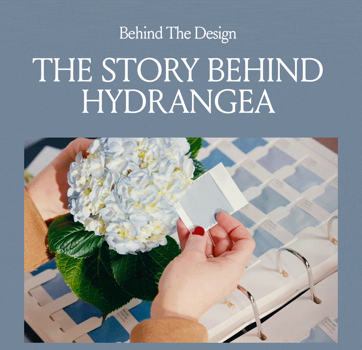 Behind The Design THE STORY BEHIND HYDRANGEA