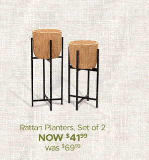 Rattan Planters