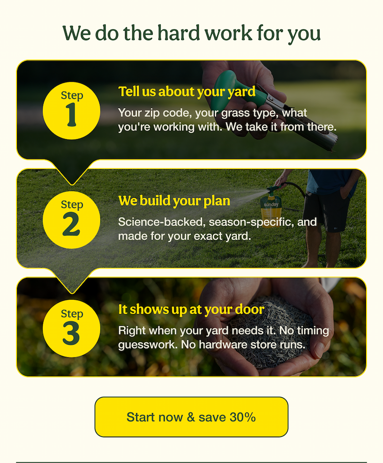 We do the hard work for you | Start now & save 30%