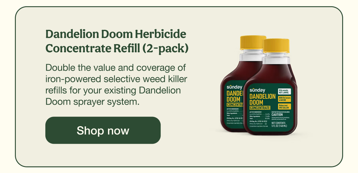 Dandelion Doom Herbicide Concentrate Refill (2-pack) | Shop now