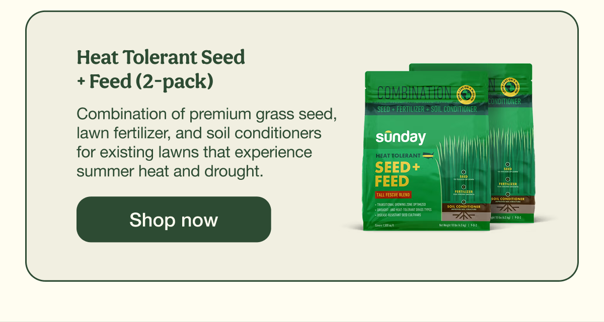 Heat Tolerant Seed + Feed (2-pack) | Shop now