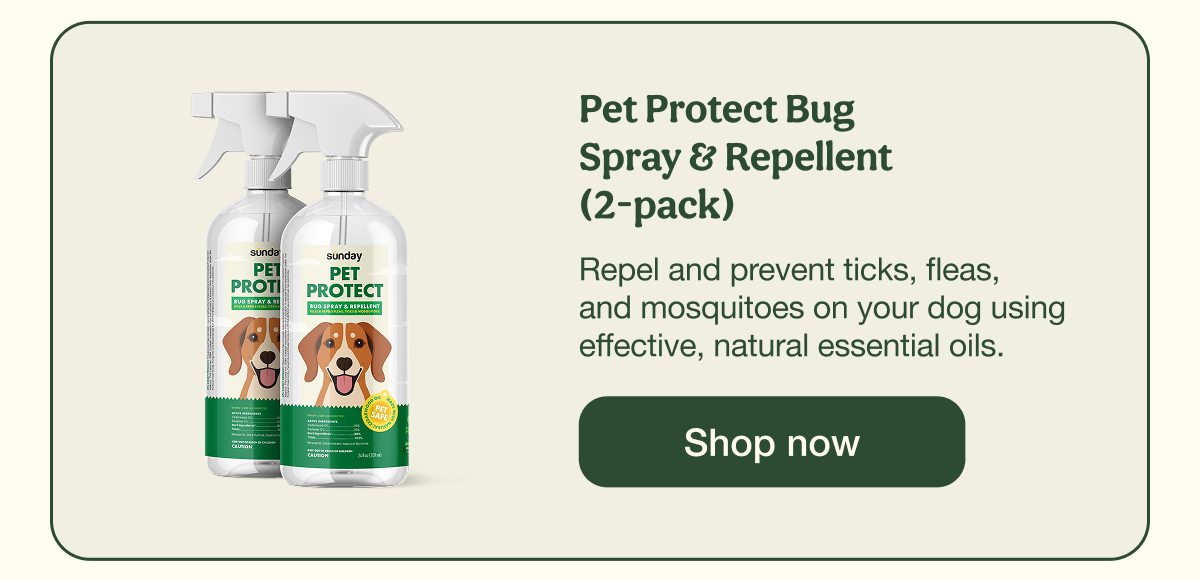 Pet Protect Bug Spray & Repellent (2-pack) | Shop now