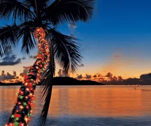 Escape to the Caribbean This December