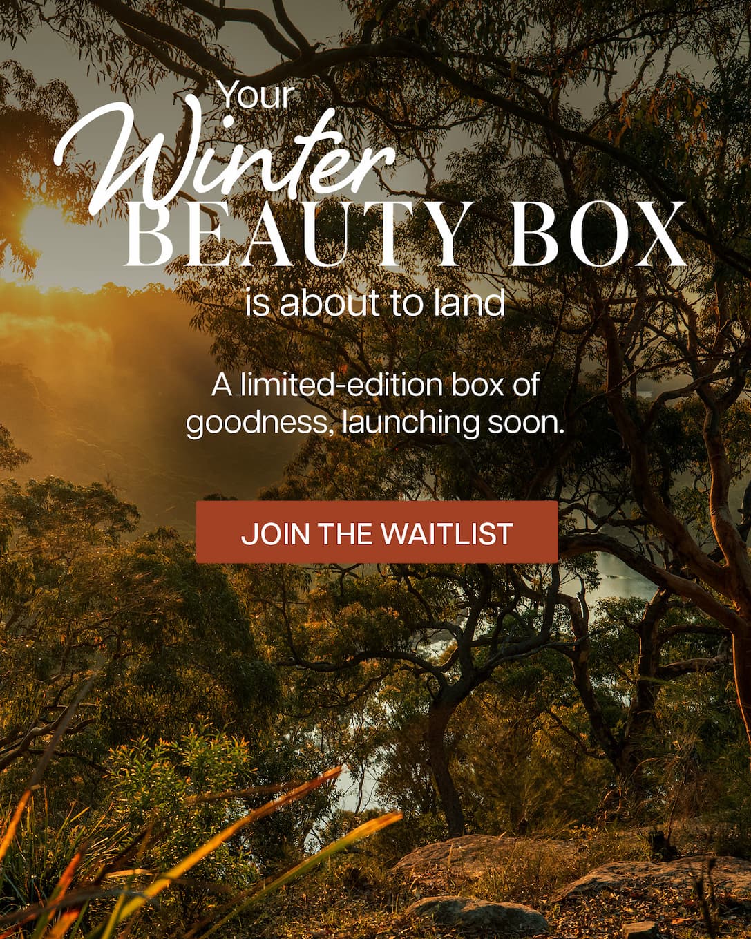 Your Winter Beauty Box is about to land... Join the waitlist