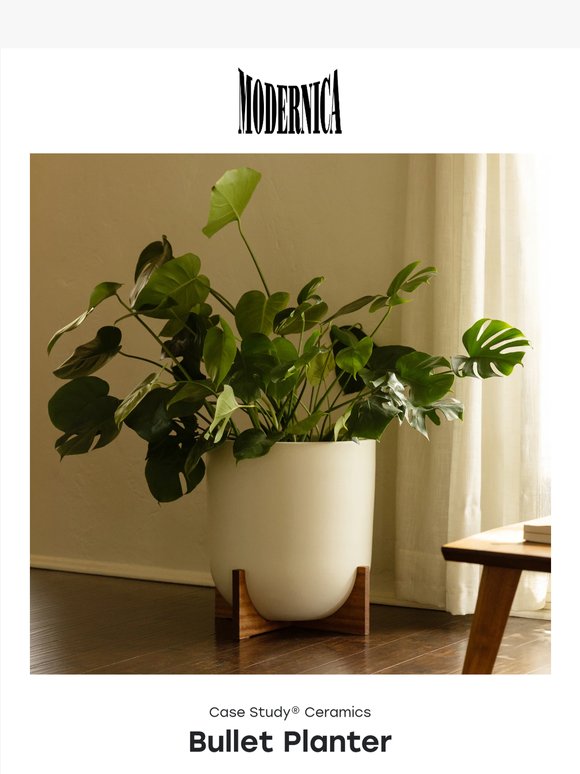 Case Study® Ceramics Bullet Planter