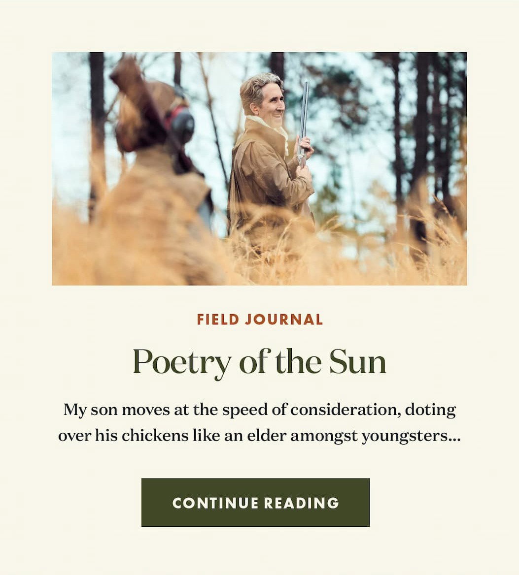 Field Journal: Poetry of the Sun