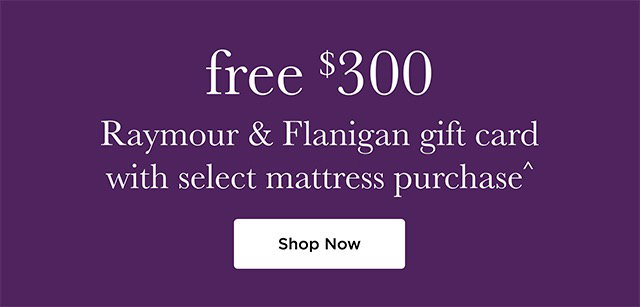 Free $300 Raymour & Flanigan gift card with select mattress purchase