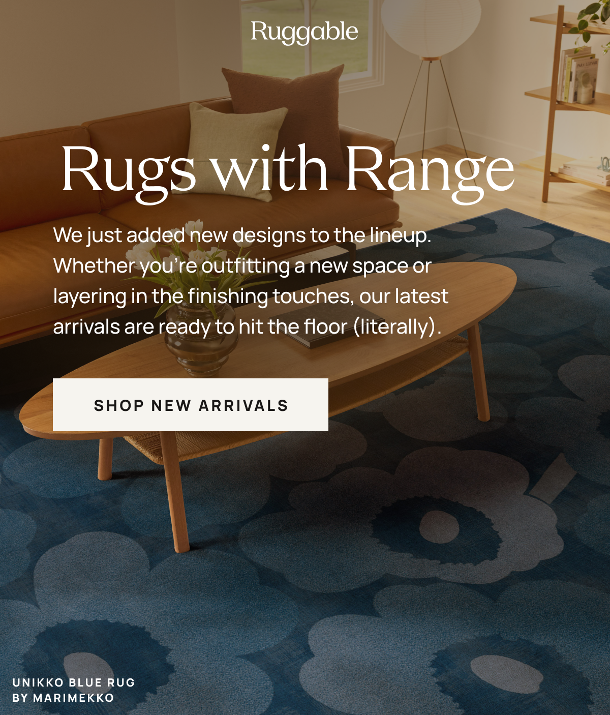 Just Dropped: Rugs with Range | Shop New Arrivals 
