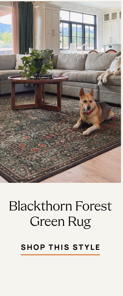 Blackthorn Forest Green Rug | Shop This Style 