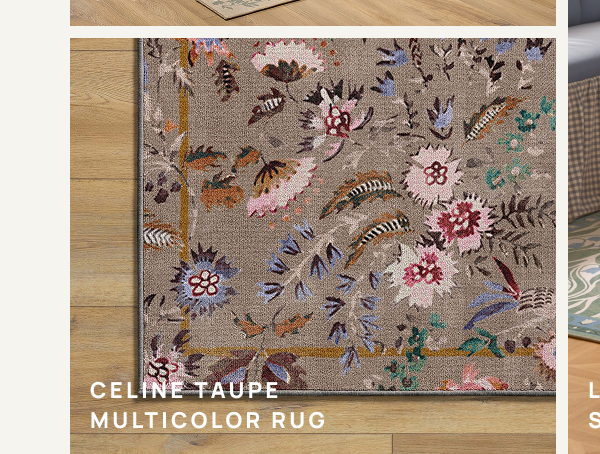 Celine Taupe Multicolor Rug 