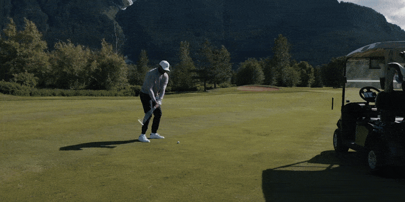 gif: chip and dial 