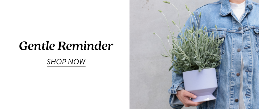 Product feature for “Gentle Reminder,” showing a person in a denim jacket holding a lavender-colored planter filled with soft green foliage. Text on the left reads “Gentle Reminder” with a “Shop Now” link.
