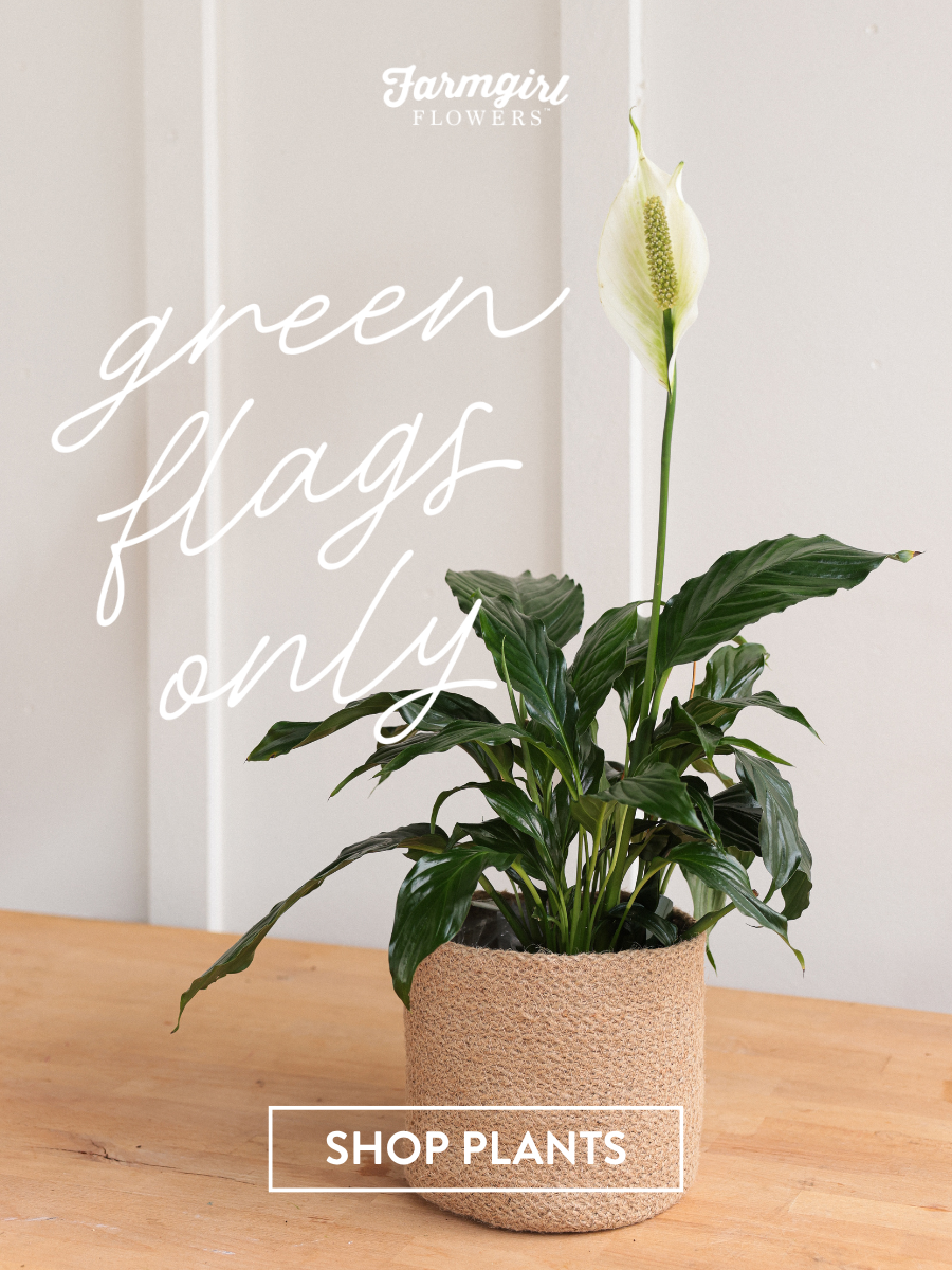 Farmgirl Flowers campaign image featuring a green potted peace lily plant in a woven tan pot on a wooden table. White script text reads “green flags only,” with the Farmgirl Flowers logo near the top and a “Shop Now” button near the bottom.