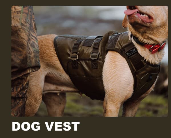 Dog Vest