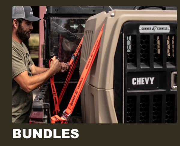 Bundles
