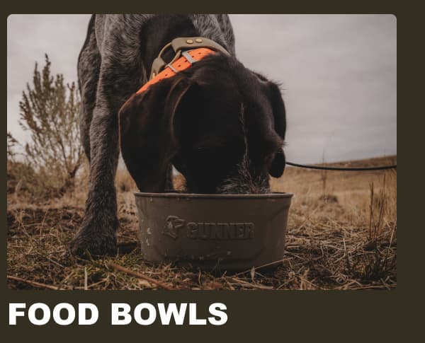 Food Bowls