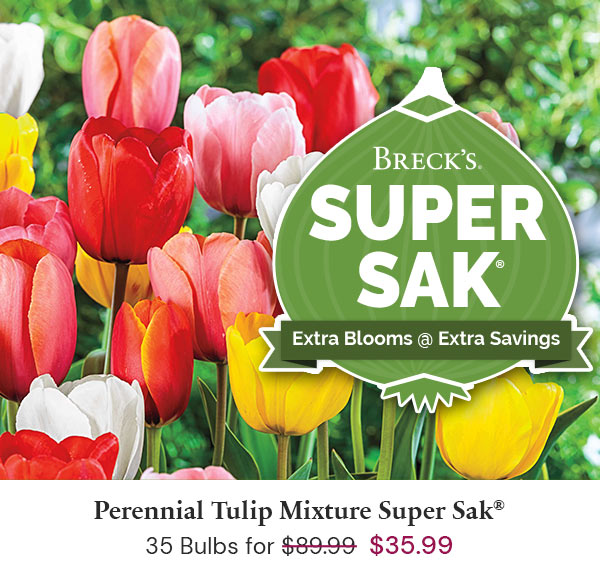 Super Sak