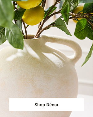 Shop Décor >