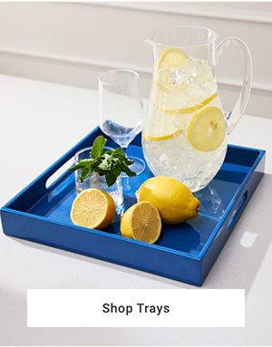 Shop Trays >