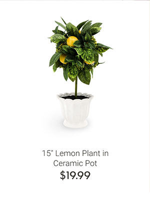 15" Lemon Plant Ceramic Pot
