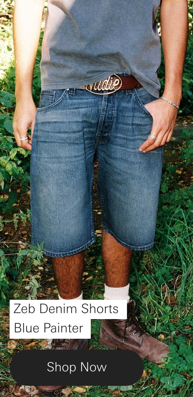 Zeb Denim Shorts Blue Painter
