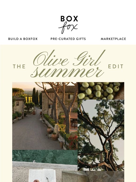 Introducing: Olive Girl Summer 🫒