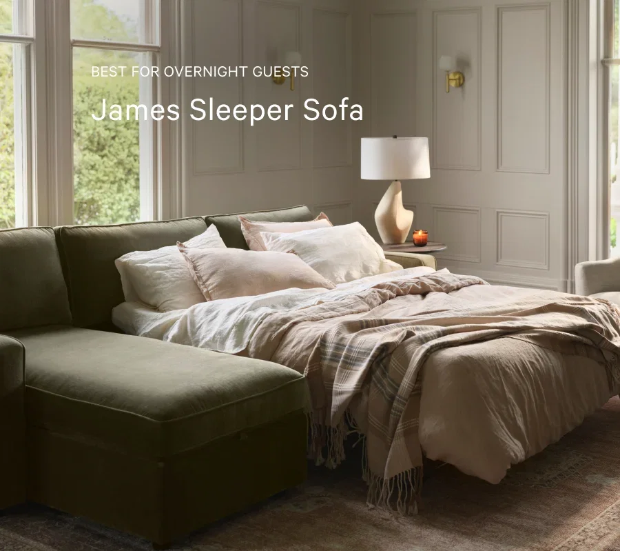 James Sleeper Sofa