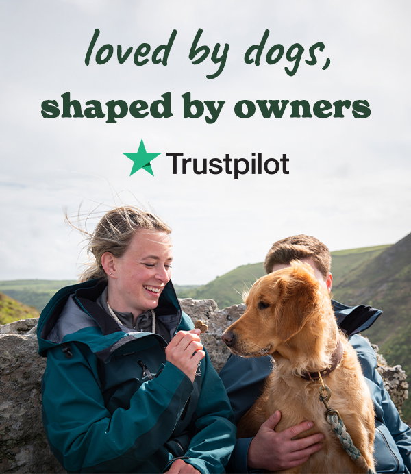 Loved by dogs, shaped by owners.