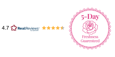 Trustpilot - Great!