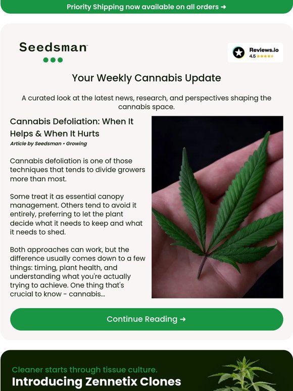 Seedsman Newsletter