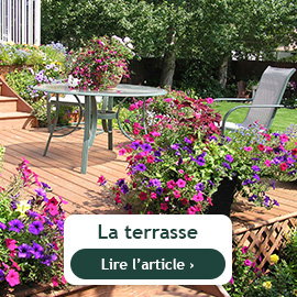 Que faire sur la terrasse en juin ?