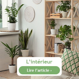 Que faire à l'intérieur en juin ?