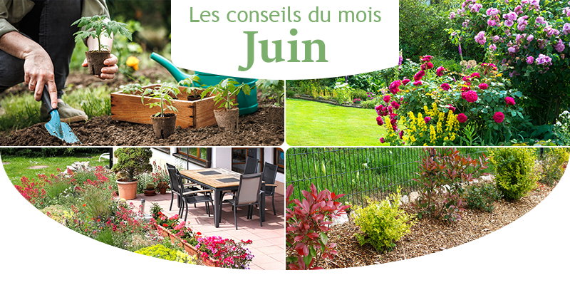 Les conseils du mois pour juin !