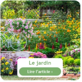 Que faire au jardin en juin ?