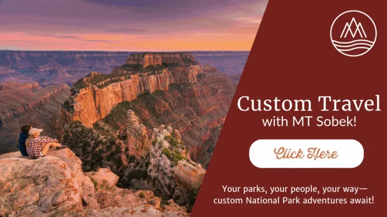 Custom NP GIF