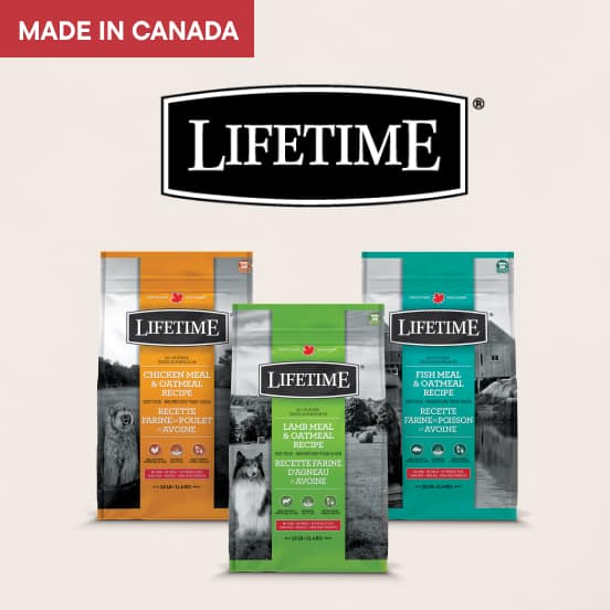 Product Ad