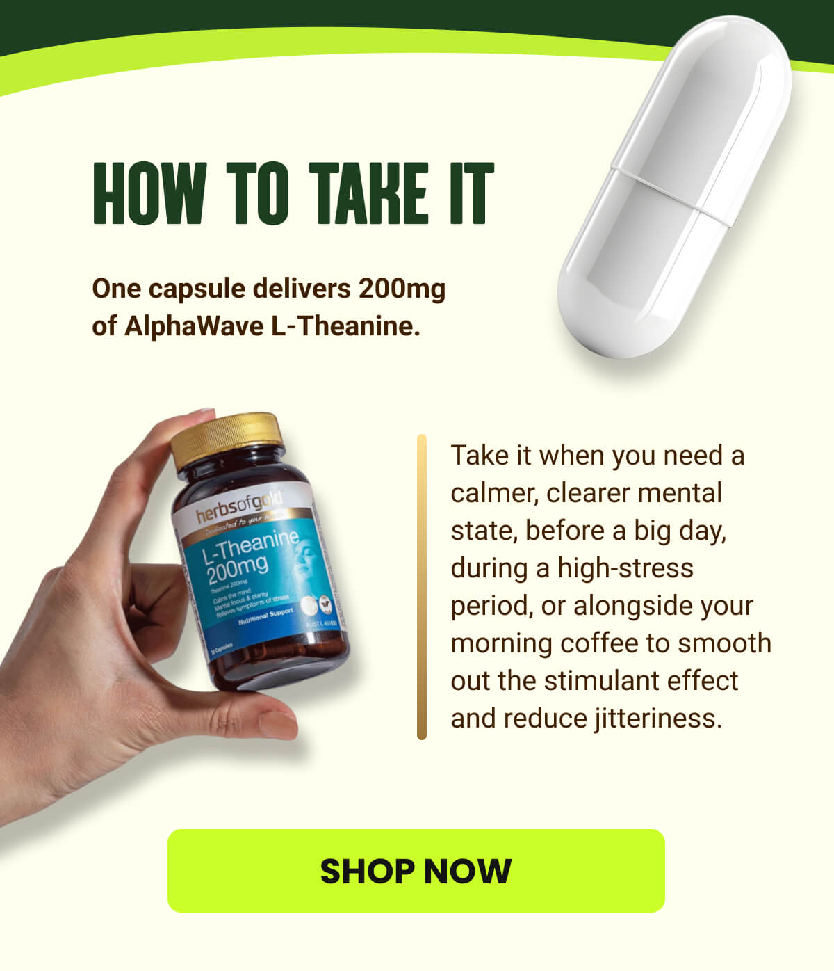 HOW TO TAKE IT | SHOP NOW 
