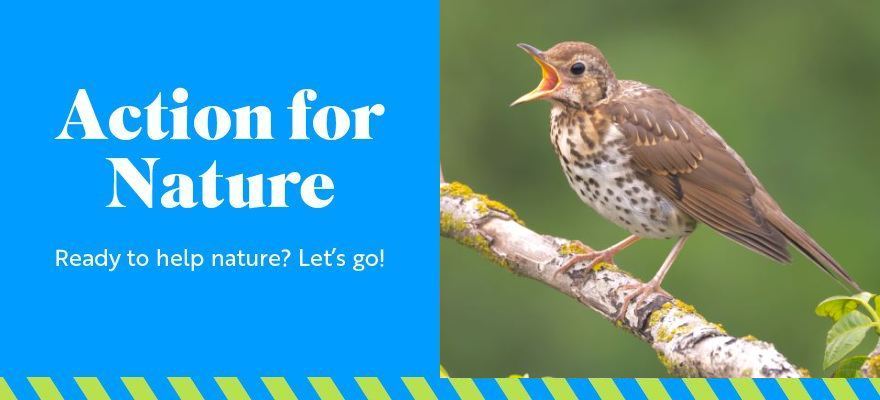 RSPB Action For Nature email