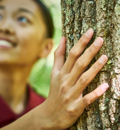 A young woman with her hand on a tree, connecting to nature<br>