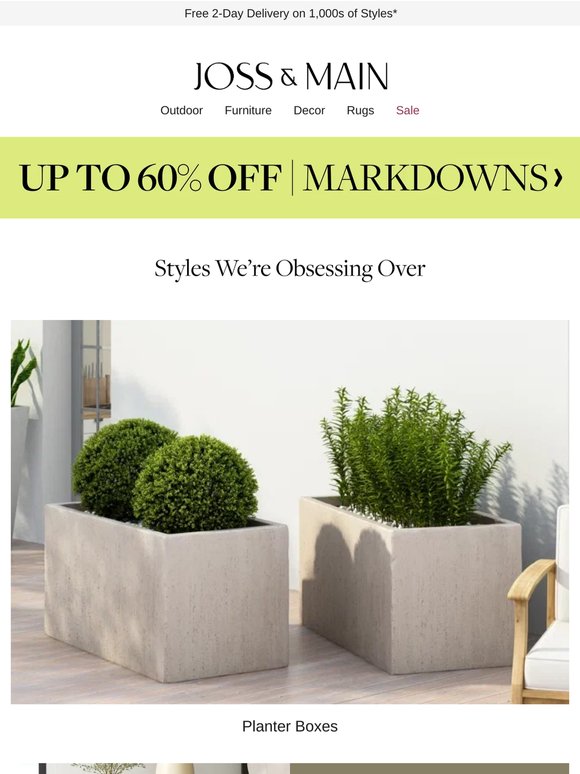 Planter box picks for green thumbs – or not ›