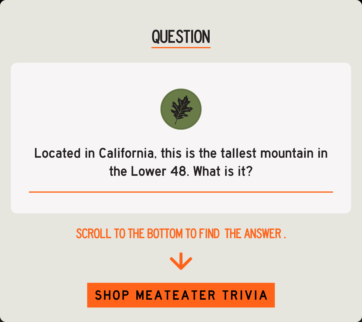 Shop MeatEater Trivia