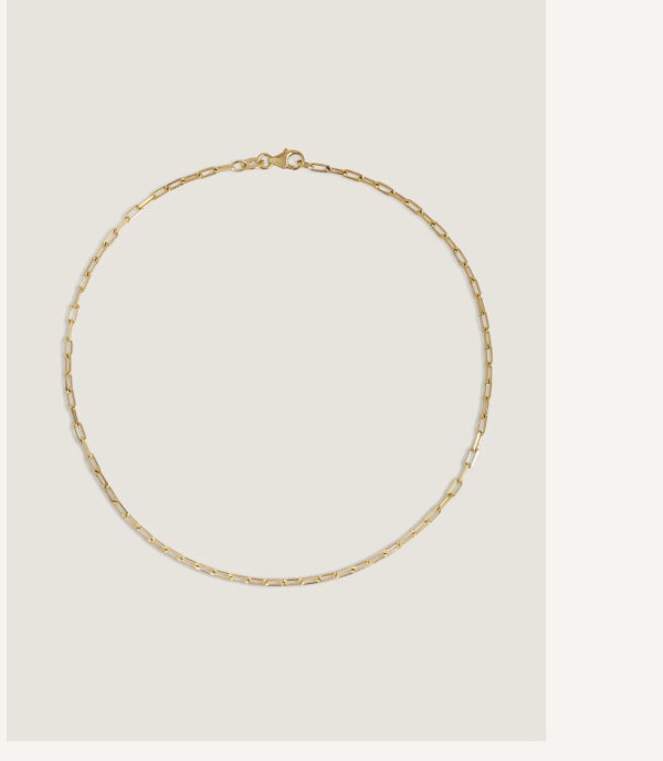 Mircolink Chain Anklet