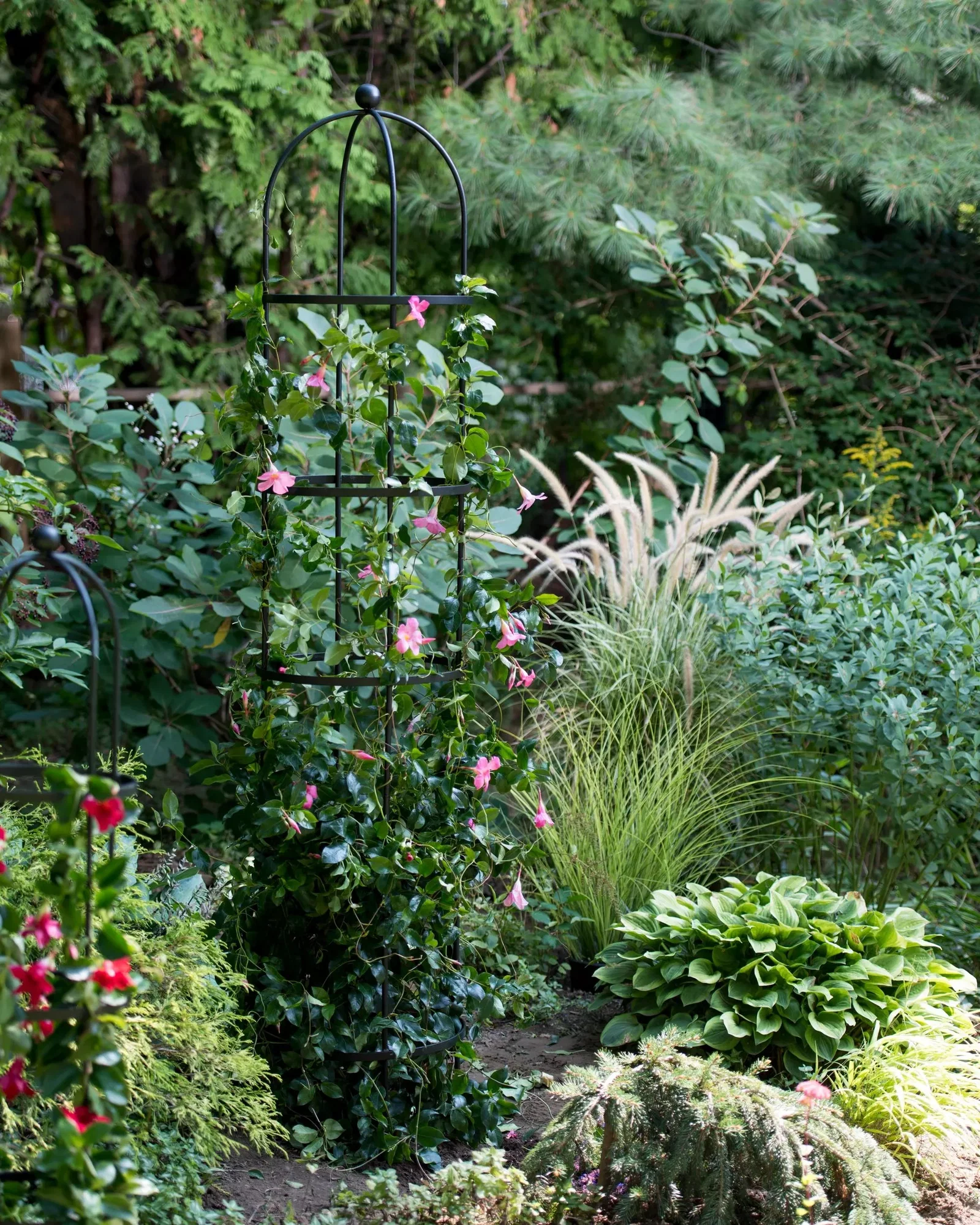 Image of Essex™ Round Trellises
