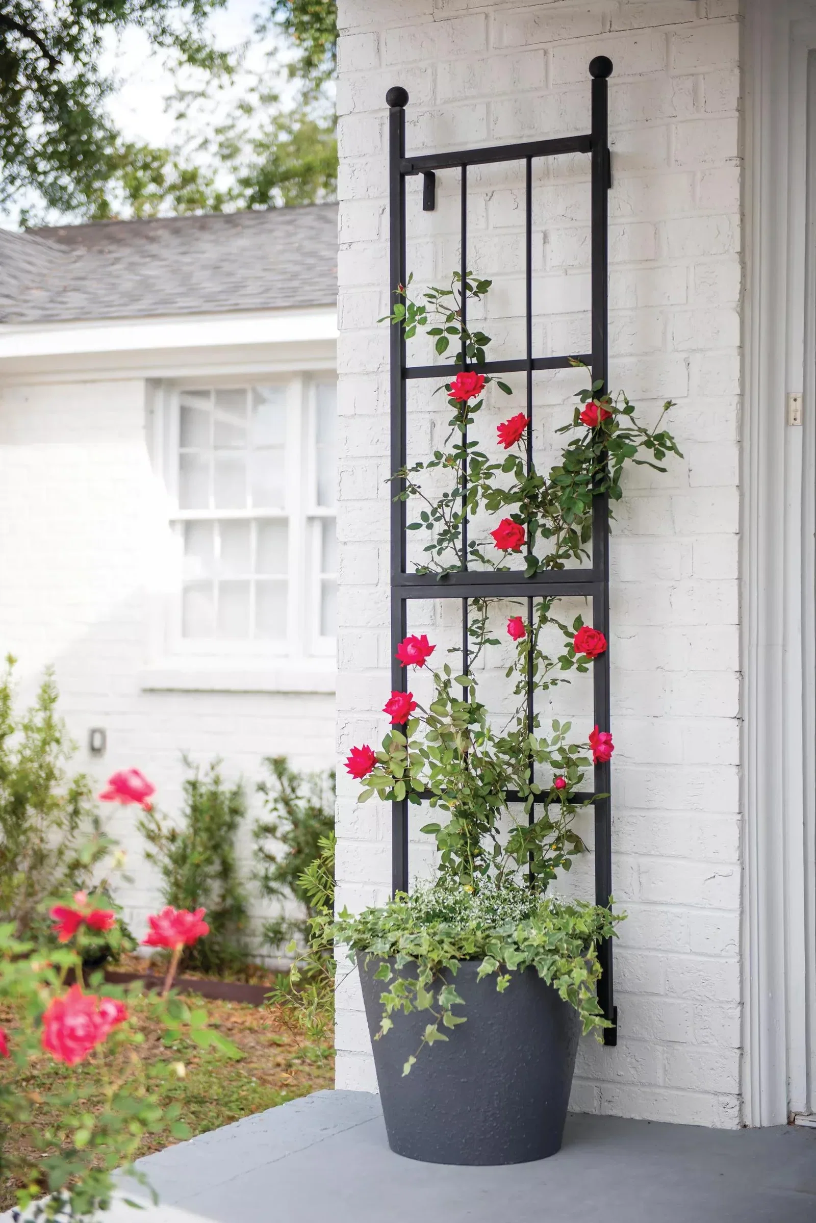 Image of Essex™ Wall Trellis