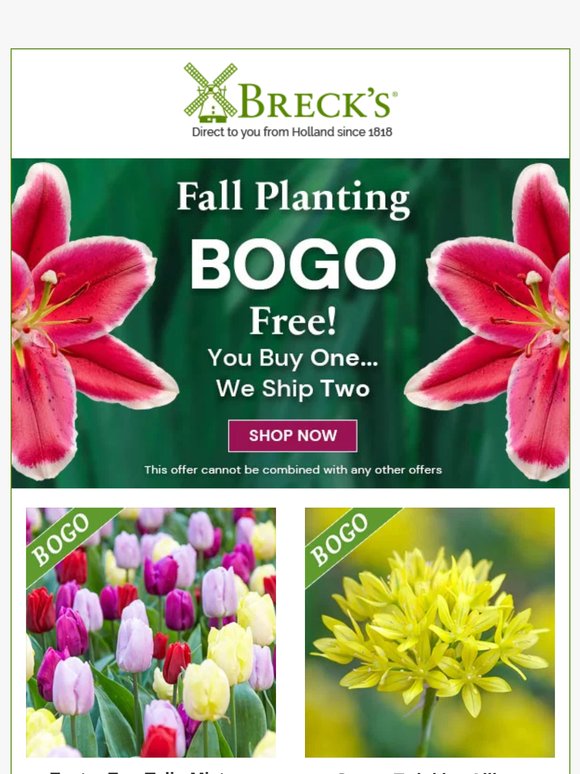 It’s a BOGO Free for Fall Free-for-All!