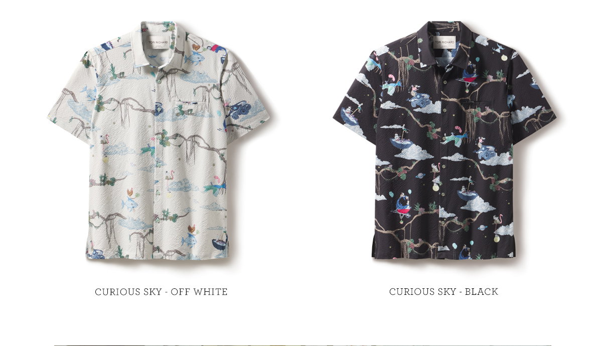 Shop Curious Sky