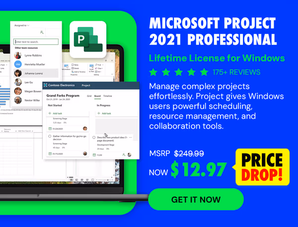 Microsoft Project 2021 Professional: Lifetime License for Windows